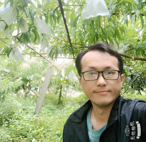 生產者圖片