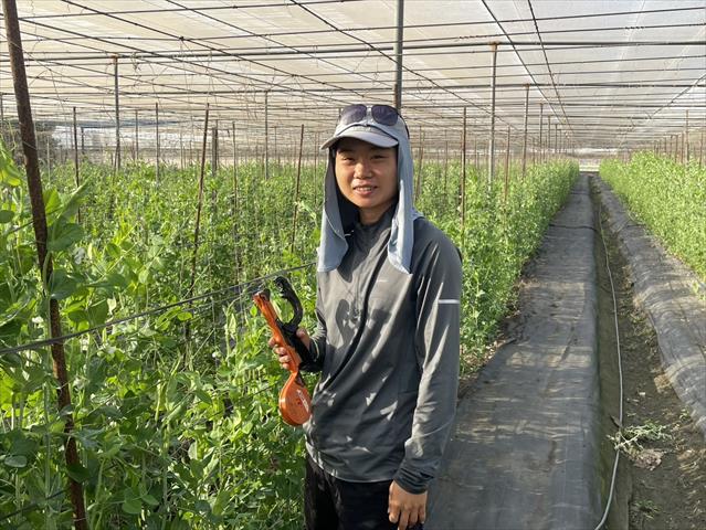生產者圖片
