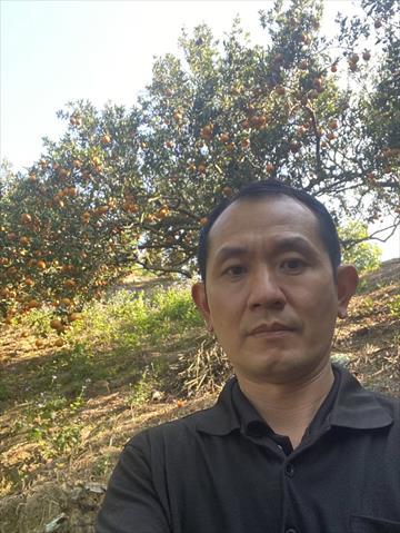 生產者圖片