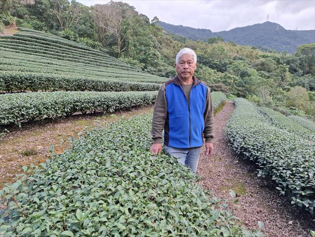 生產者圖片