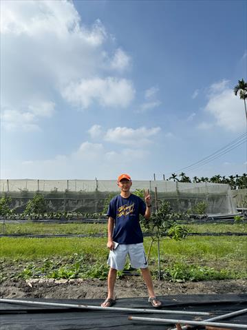 生產者圖片