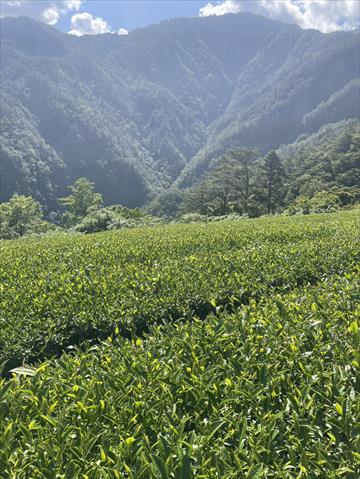 生產者圖片