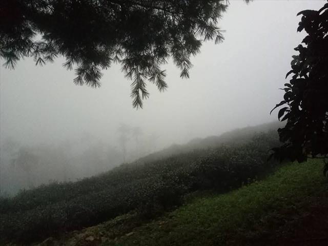 生產者圖片
