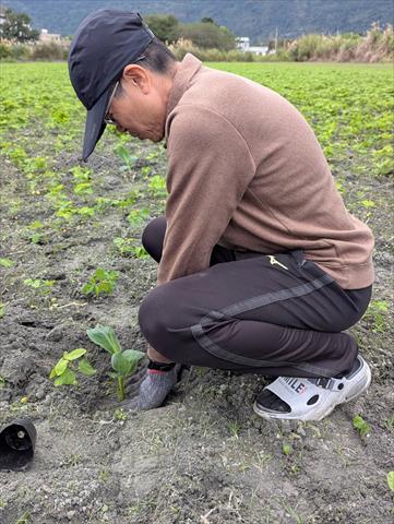 生產者圖片