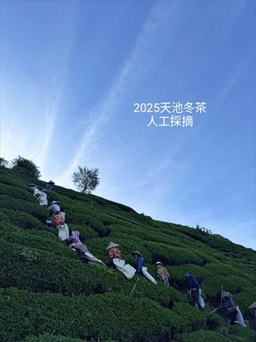 生產者圖片