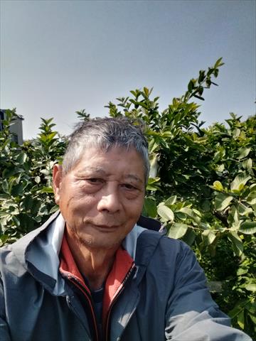 生產者圖片