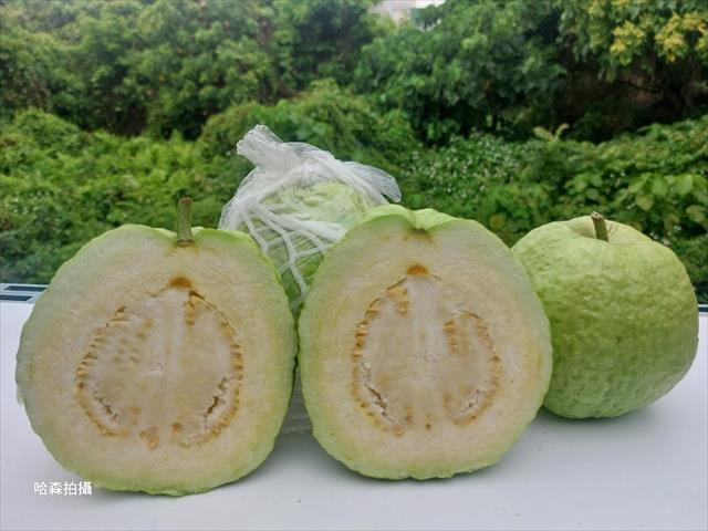 生產者圖片