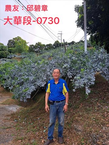 生產者圖片