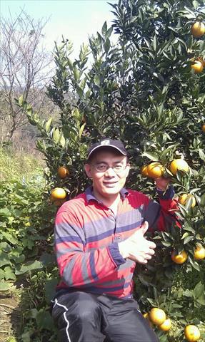 生產者圖片