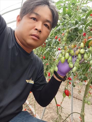 生產者圖片