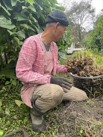 生產者圖片