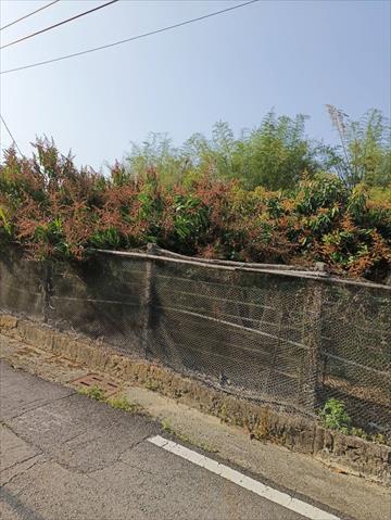 生產者圖片