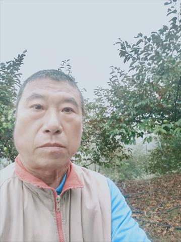 生產者圖片