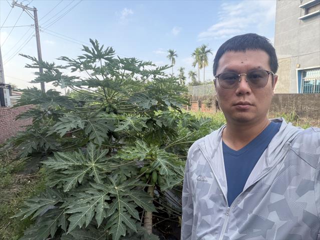 生產者圖片