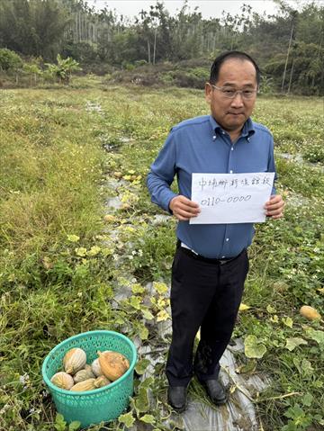 生產者圖片