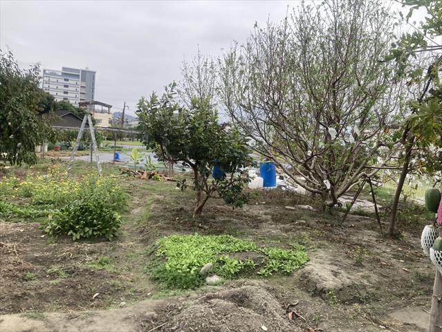生產者圖片