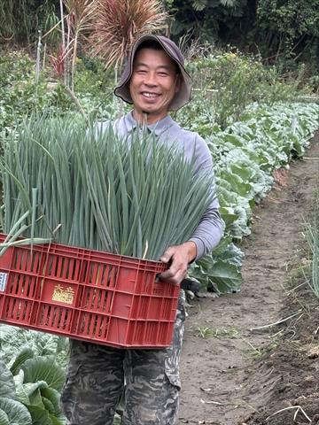生產者圖片