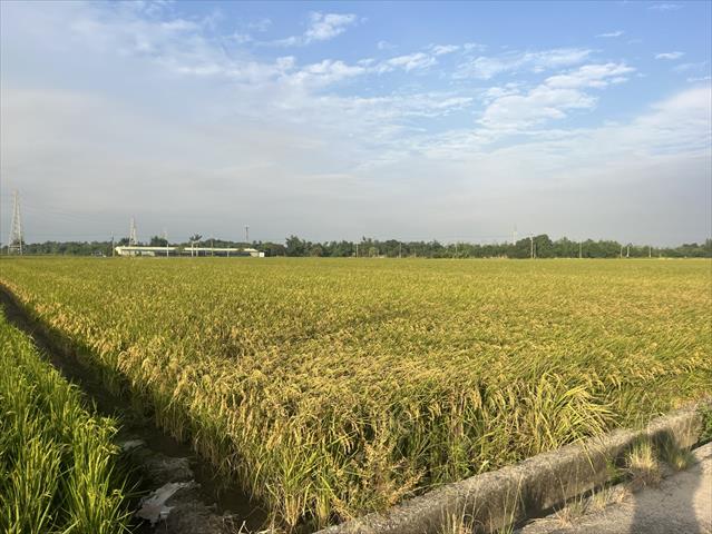 生產者圖片