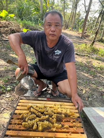生產者圖片