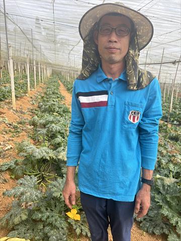 生產者圖片