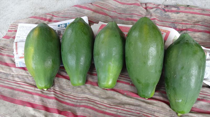生產者圖片