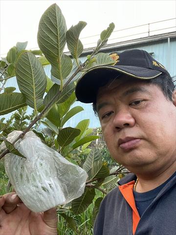 生產者圖片