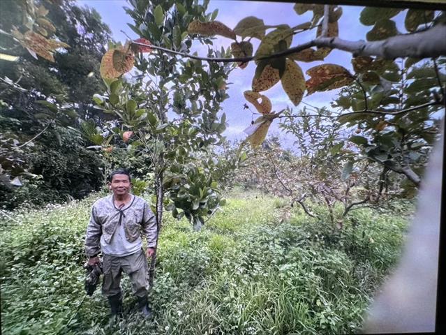 生產者圖片
