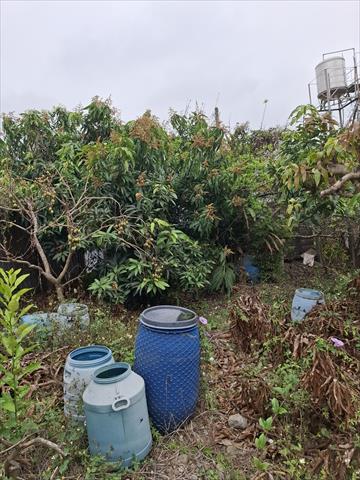 生產者圖片