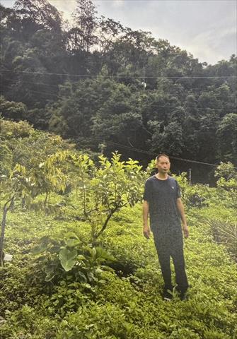 生產者圖片