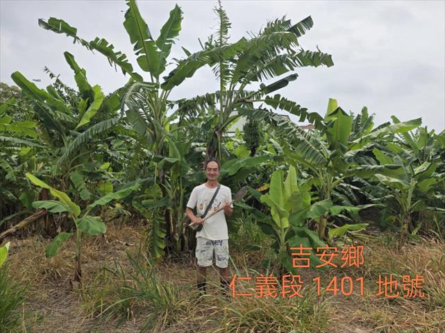 生產者圖片