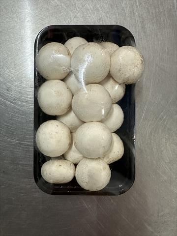 生產者圖片