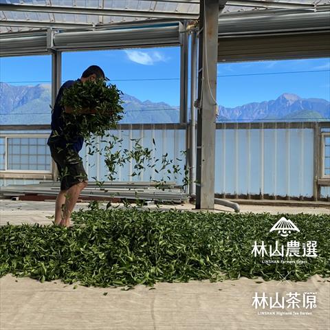 生產者圖片