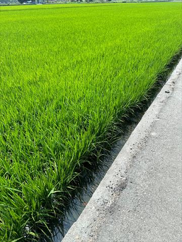 生產者圖片