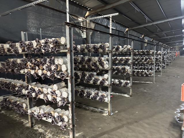 生產者圖片