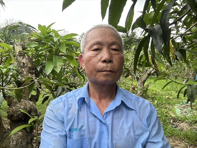 生產者圖片