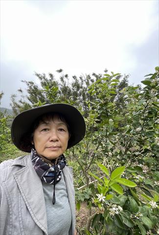 生產者圖片