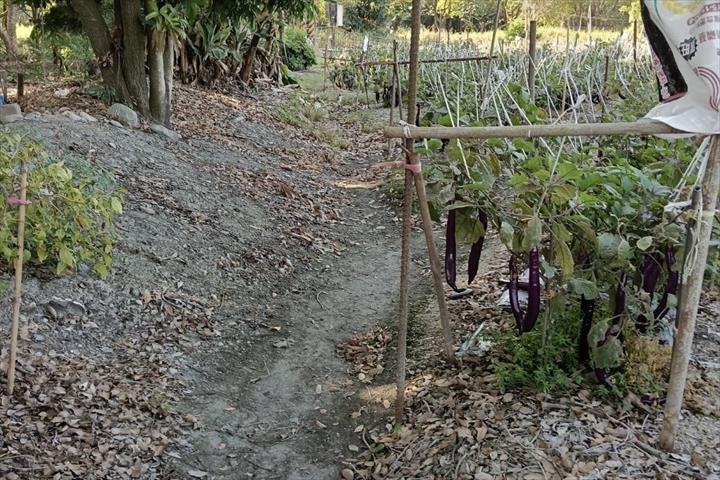 生產者圖片