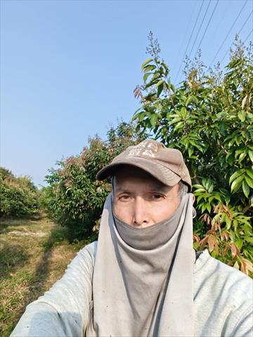 生產者圖片
