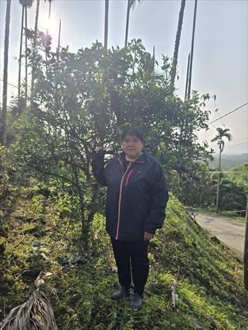 生產者圖片