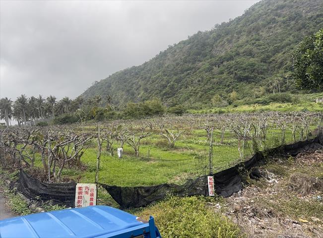 生產者圖片