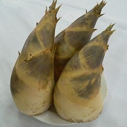 生產者圖片
