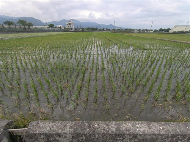 生產者圖片