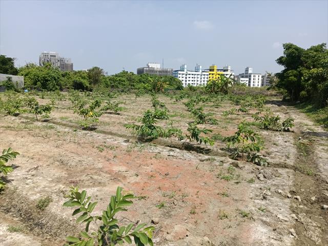 生產者圖片