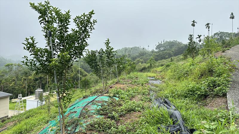 生產者圖片